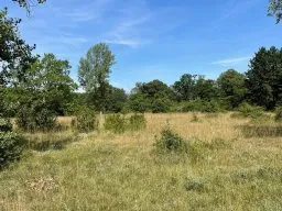 FUN in der Lobau (18)